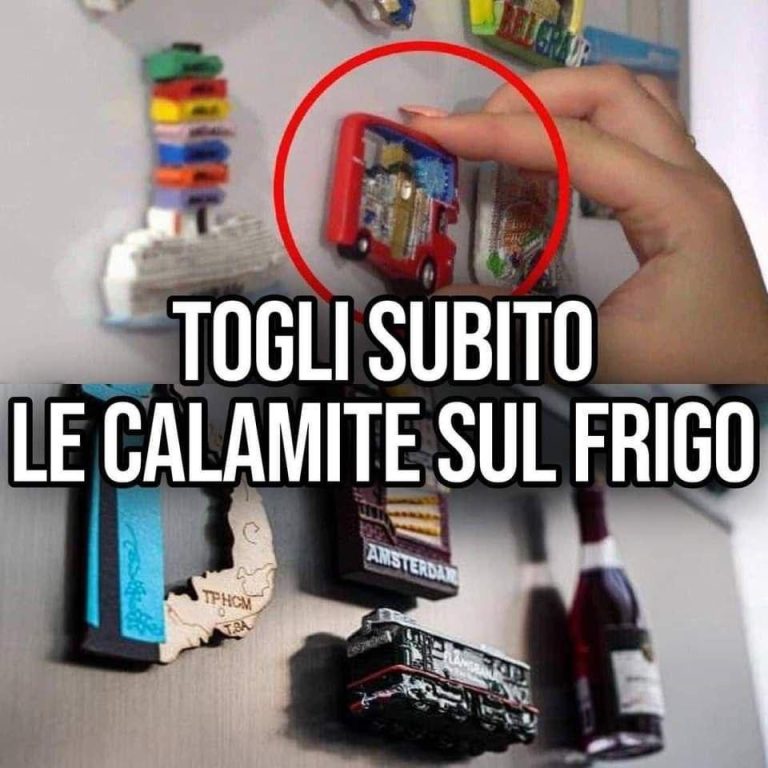 Calamite sul frigo: ecco perché devi toglierle subito. Il motivo è scioccante, si r…Altro…