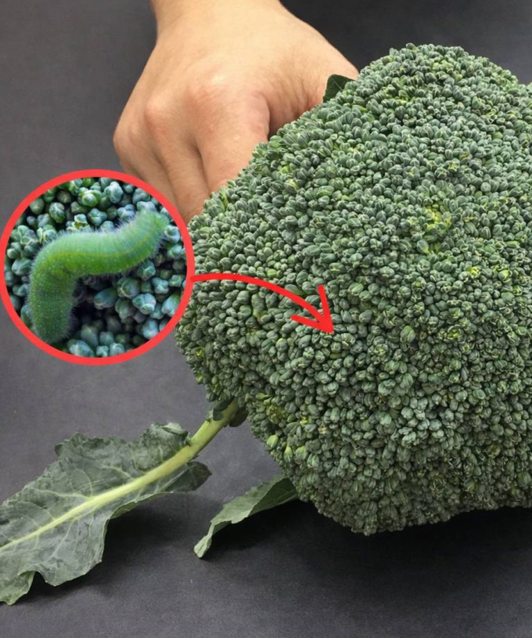 Washing broccoli with just water is wrong: This is the correct way.