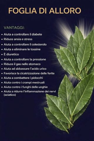 Una singola foglia di alloro bollita può trasformare la tua salute