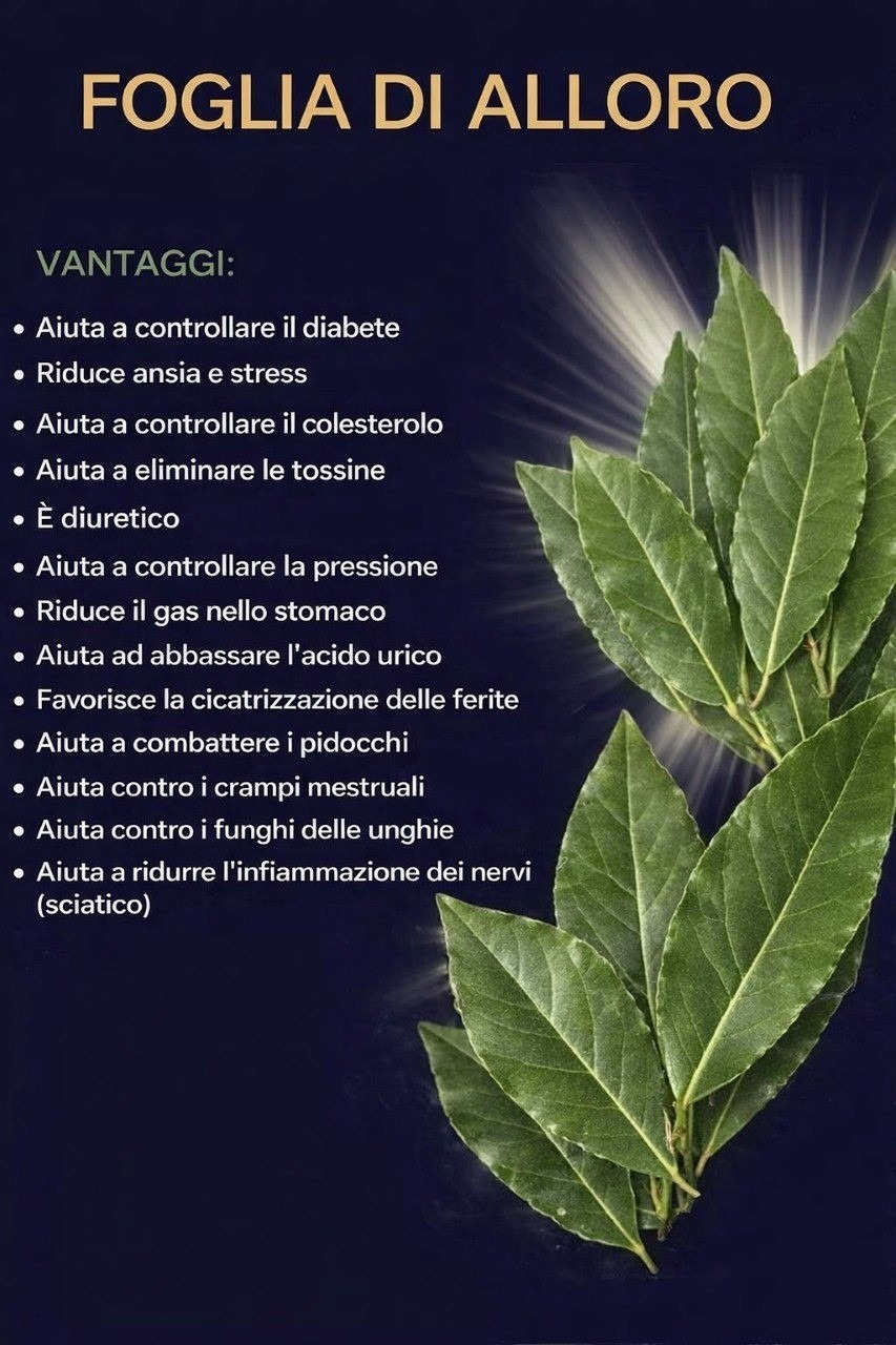 Una singola foglia di alloro bollita può trasformare la tua salute